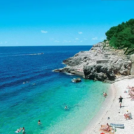 ゲストハウス Zimmer F1